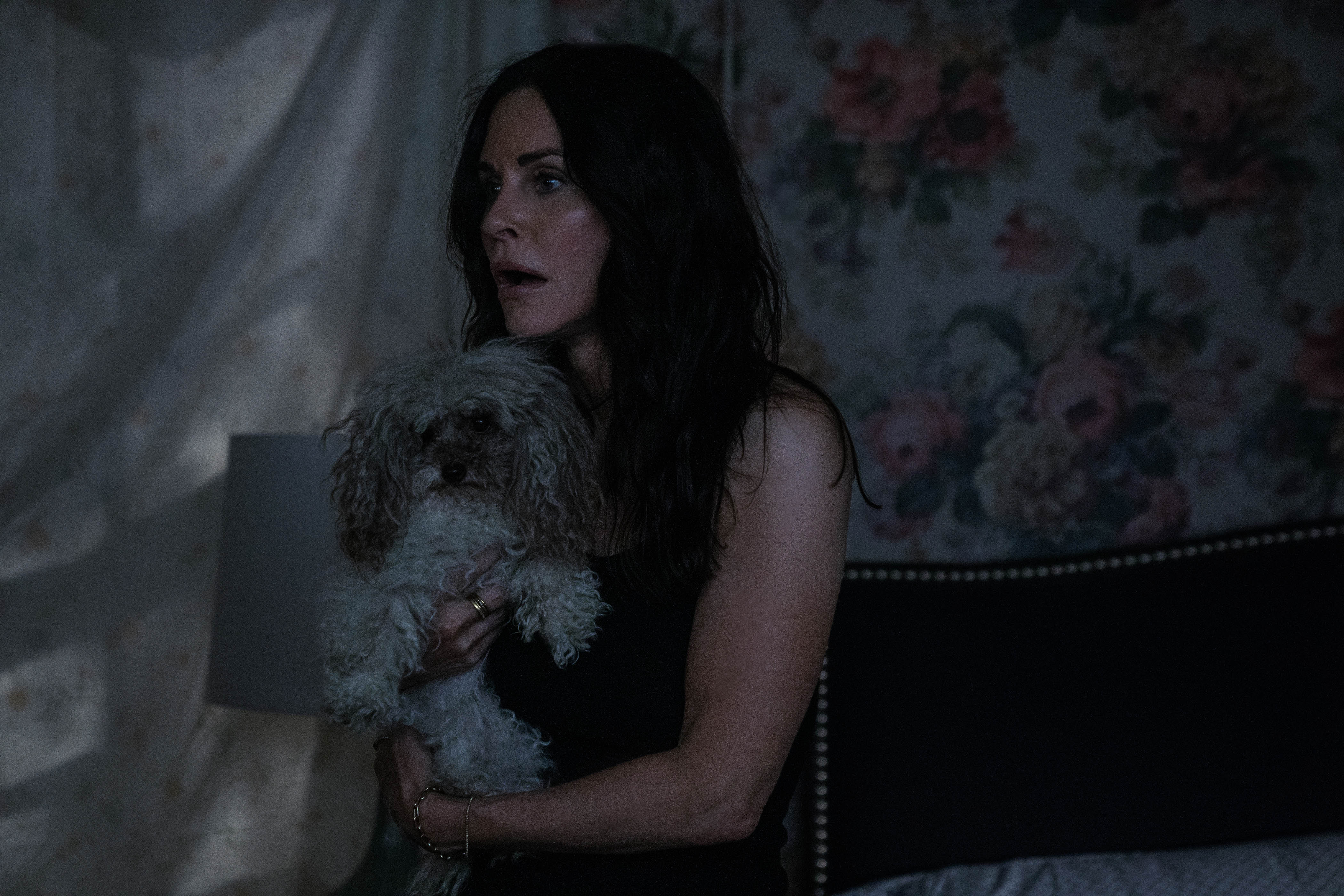 Shining Vale 1x02 Chapter Two - She Comes at Night Courteney Cox as Patricia Phelps