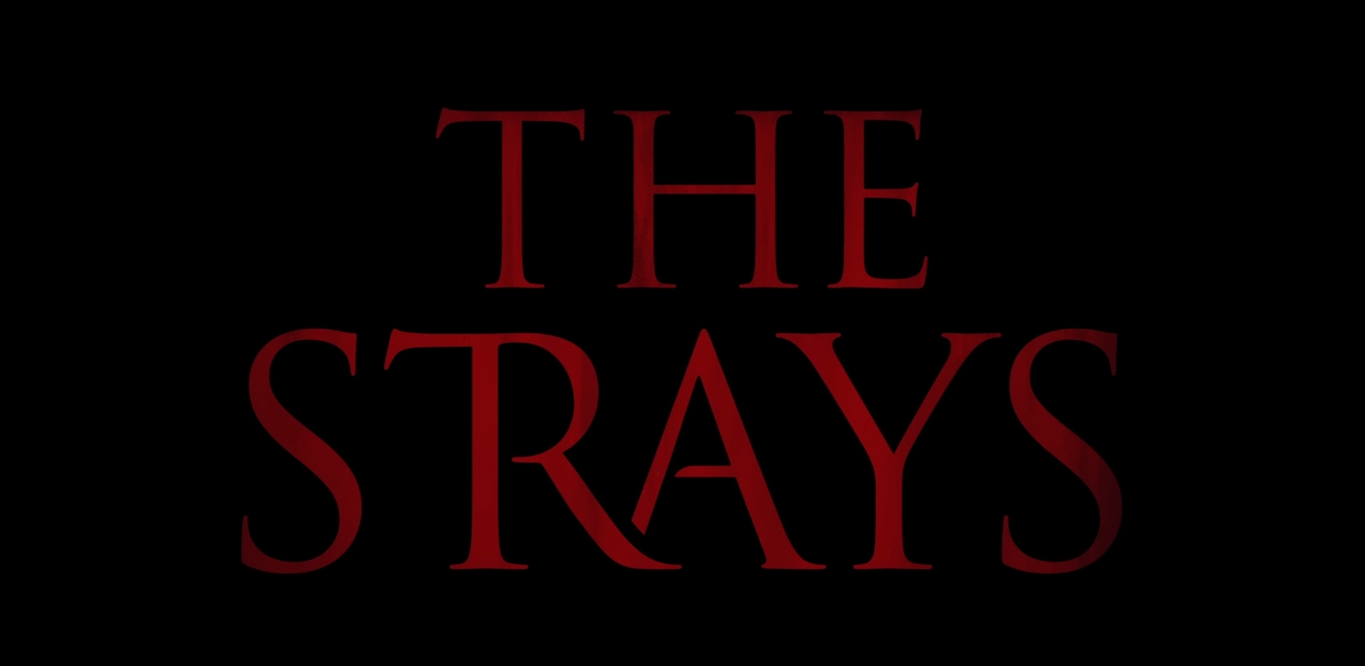 The Strays Movie Title