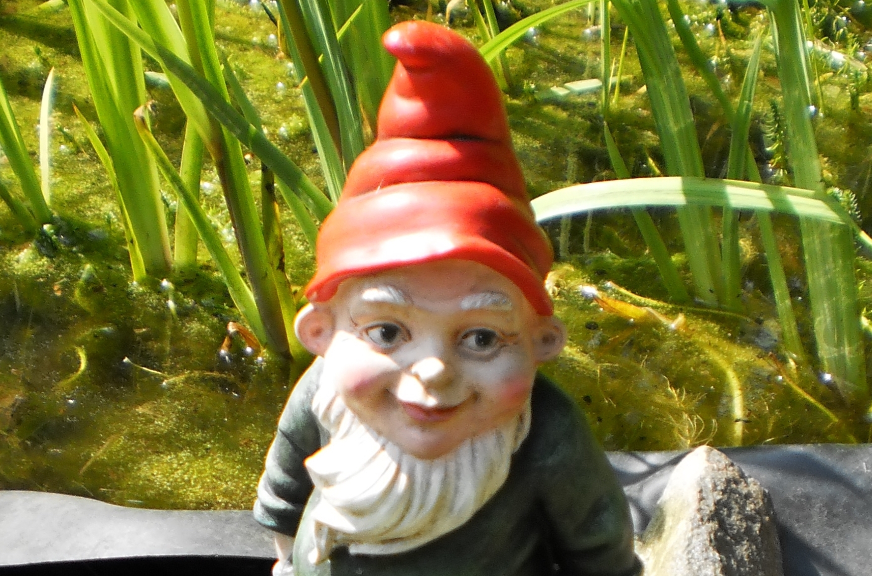 Gnome or gnomes by Martin1009 via WikiCommons