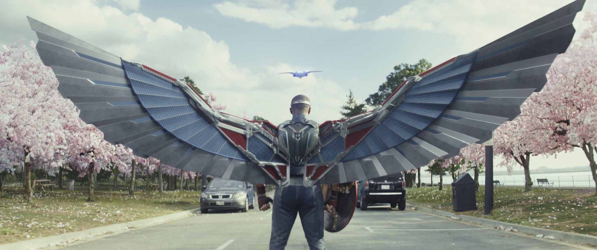 Captain America/Sam Wilson (Anthony Mackie) with open wings and Redwing hovering above him