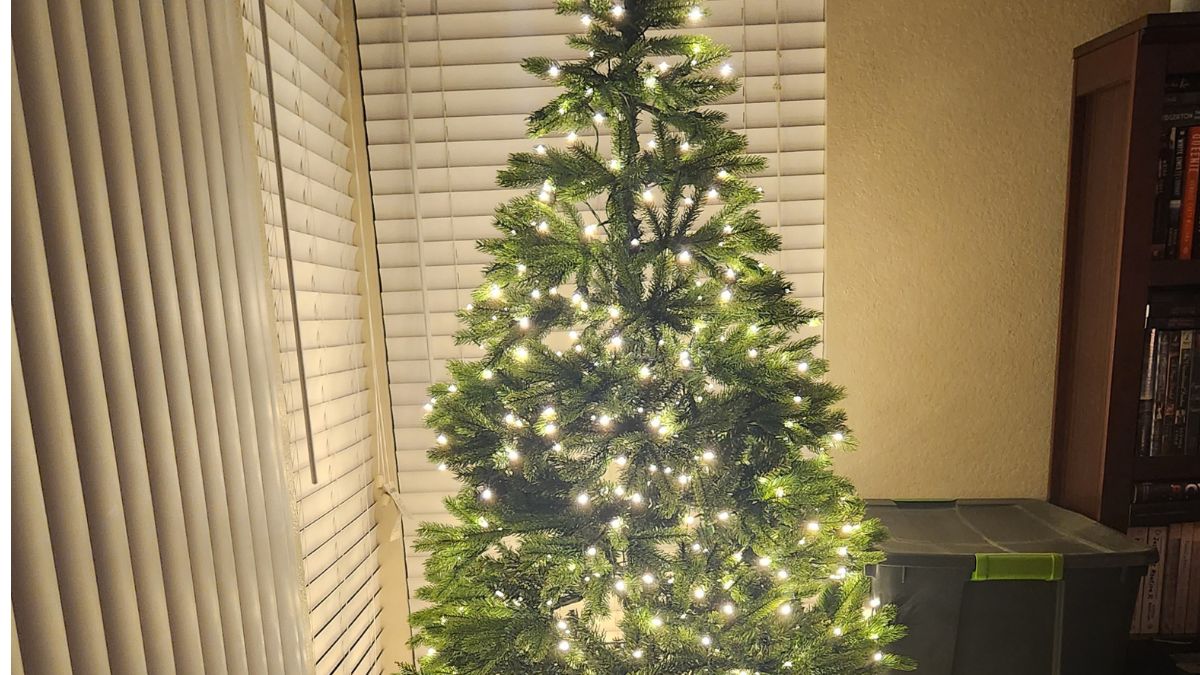 6.5' King Fraser Fir Artificial Christmas tree