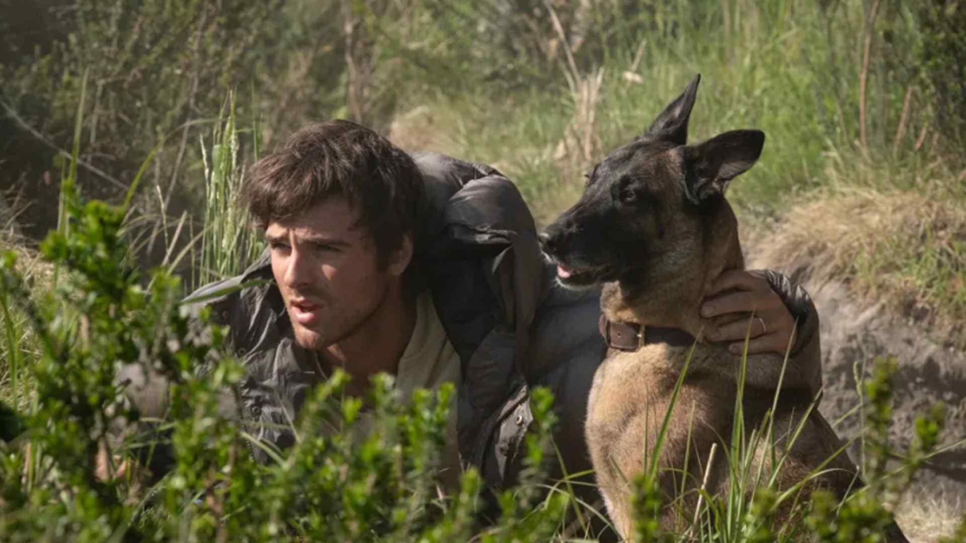 Jacob Elordi in The Dog Stars. Courtesy of 20th Century Studios.